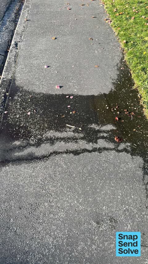 Water Leak, a report photo