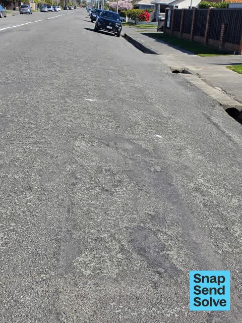 Litter, a report photo