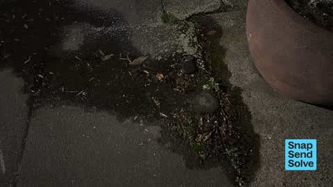 Water Leak, a report photo