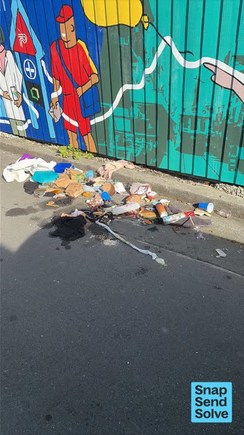 Dumped Rubbish, a report photo