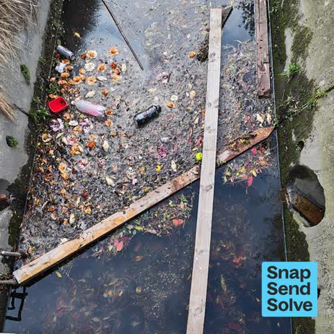 Water Pollution - Sediment, a report photo