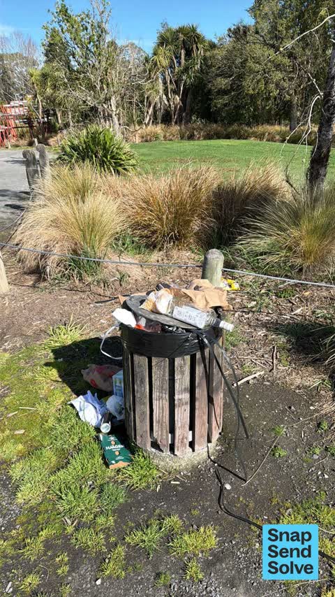 Rubbish and Bins - General, a report photo