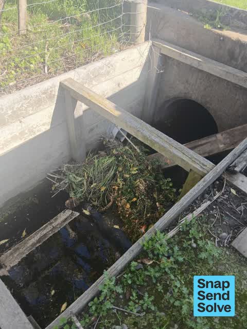 Dumped Rubbish, a report photo