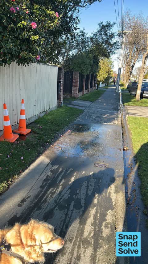 Water Leak, a report photo
