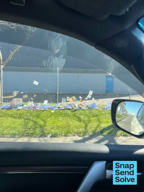 Litter, a report photo