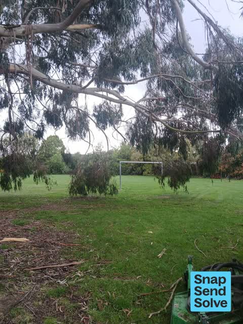 Overgrown Vegetation, a report photo