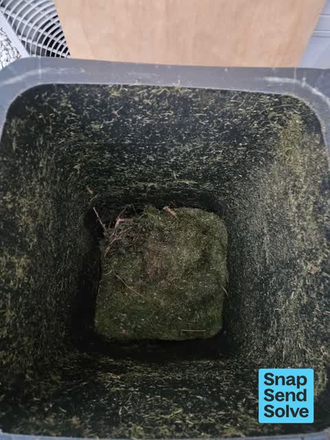 Rubbish and Bins - General, a report photo