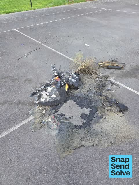 Park - General Request — a report photo