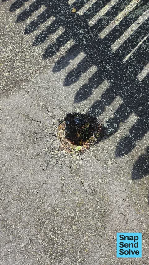 Pavement - Damaged, a report photo