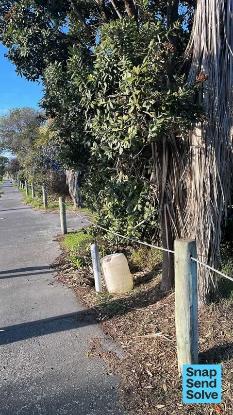 Dumped Rubbish, a report photo