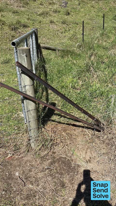 Park - General Request, a report photo