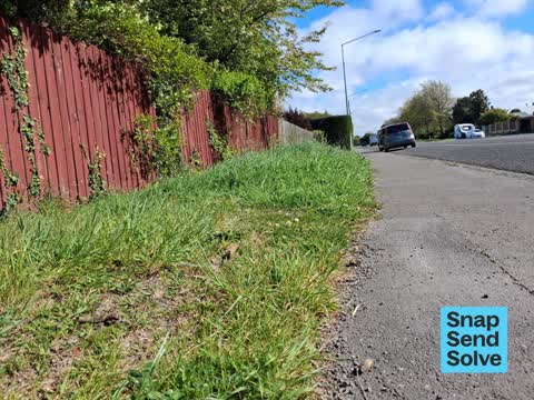 Overgrown Vegetation, a report photo