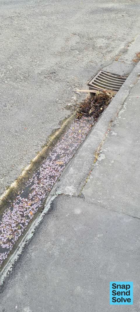 Street Gutters / Storm Water, a report photo