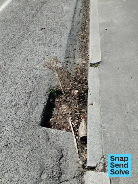 Street Gutters / Storm Water, a report photo