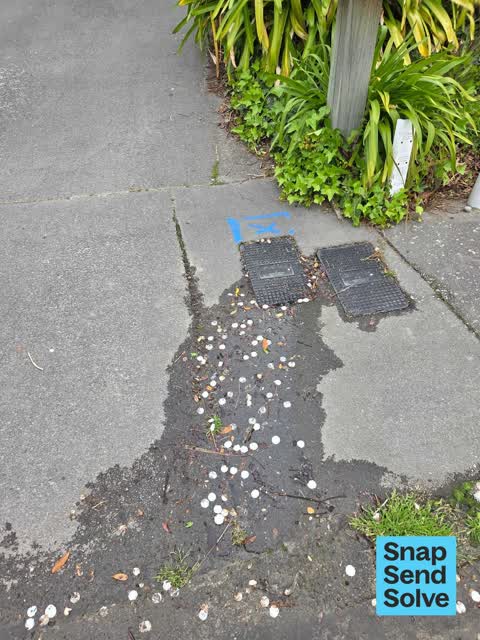 Water Leak — a report photo