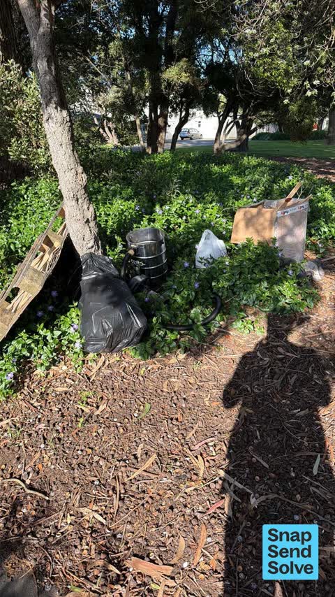 Dumped Rubbish — a report photo