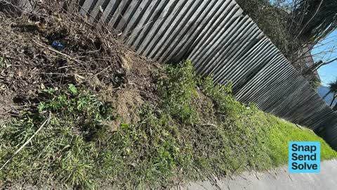 Overgrown Vegetation, a report photo