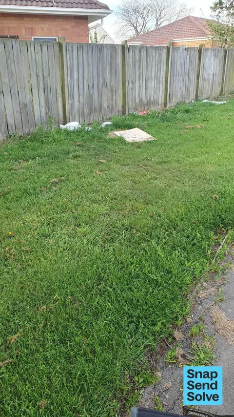 Litter, a report photo