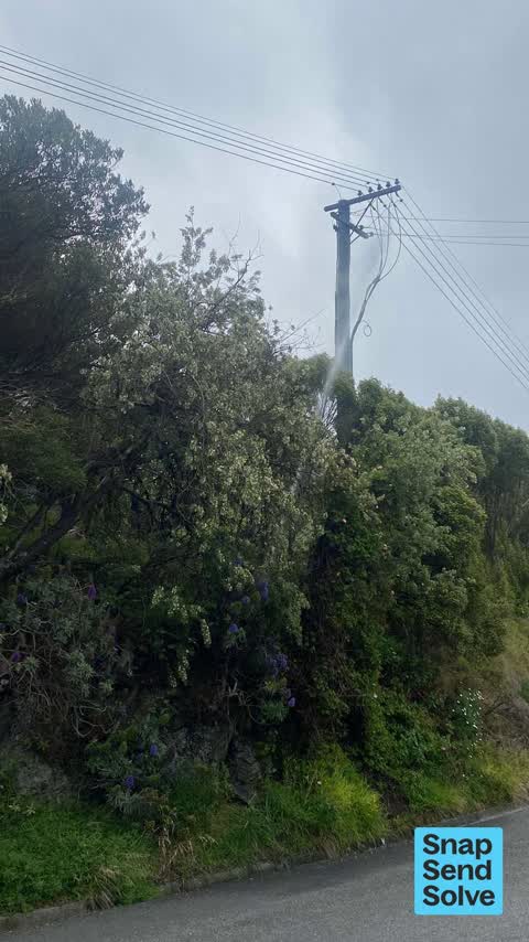 Water Leak, a report photo