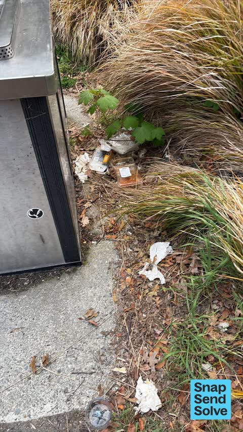 Litter, a report photo