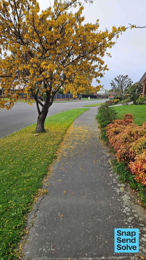Overgrown Vegetation, a report photo