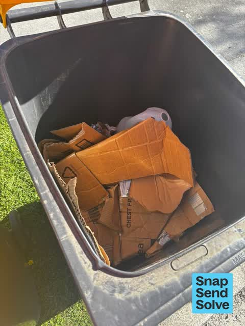 Rubbish and Bins - General, a report photo