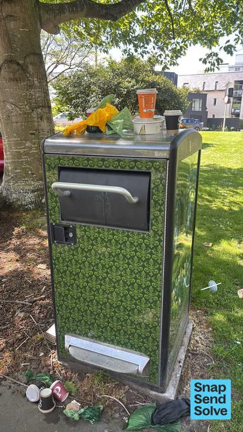 Rubbish and Bins - General, a report photo