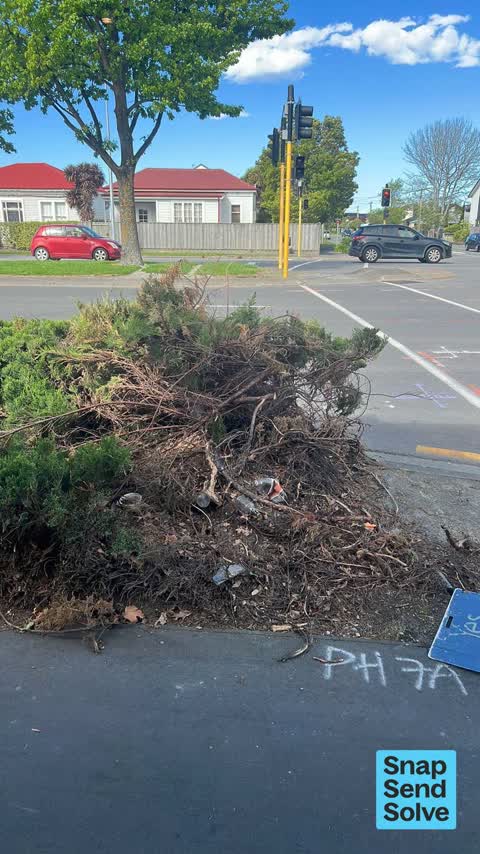 Overgrown Vegetation, a report photo