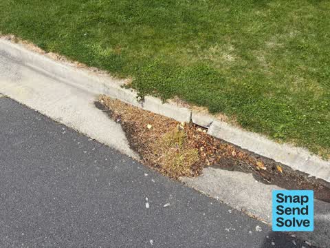 Street Gutters / Storm Water, a report photo