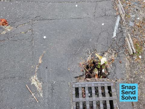 Pavement - Damaged, a report photo