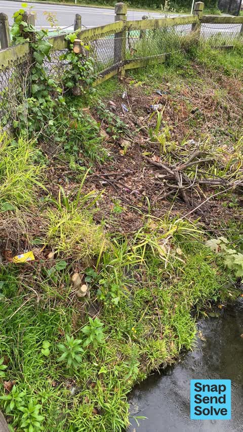 Litter, a report photo