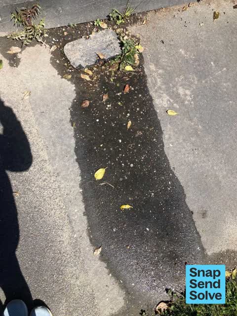 Street Gutters / Storm Water, a report photo