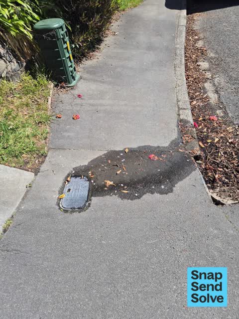 Water Leak, a report photo
