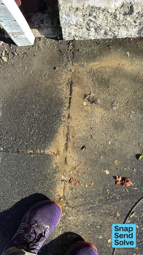Water Leak, a report photo