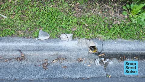 Pavement - Damaged, a report photo
