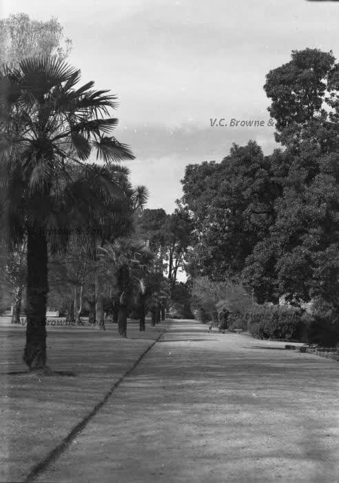 Gardens - general (PB0313/11), 1949