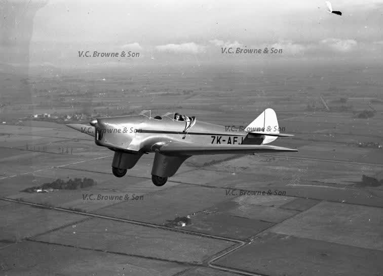 Gull in flight (PB0611/162), 1938