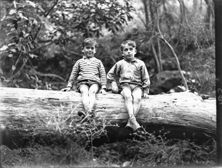 Bill and Lyle on a branch (PB0611/163), 1938