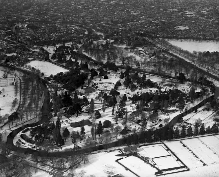 Botanic Gardens - Dalgetys (1938) (PB0909/17), 1938