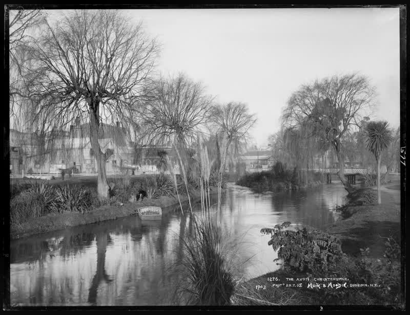 The Avon, Christchurch, 1903