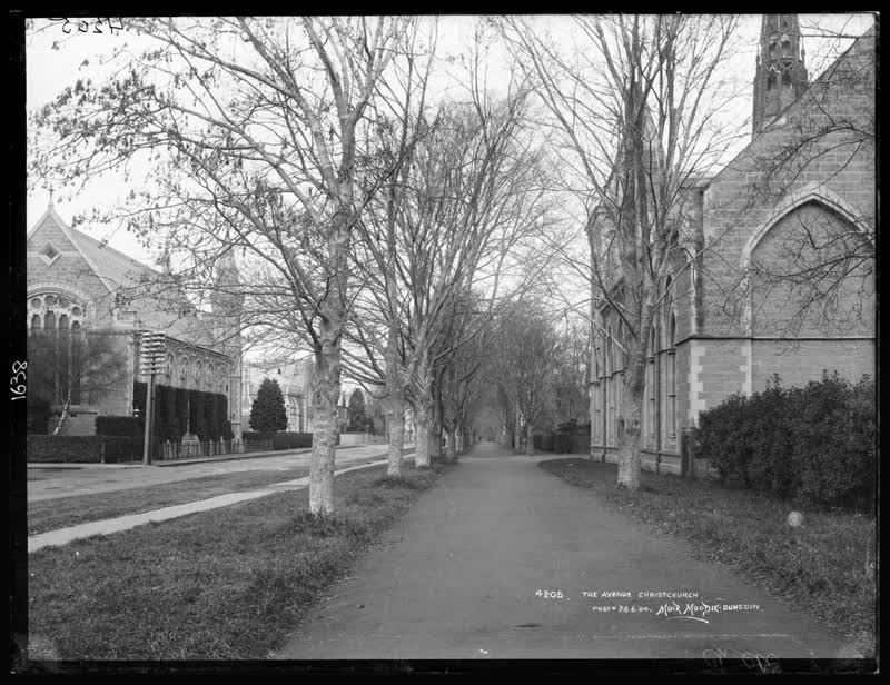 The Avenue, Christchurch, 1904