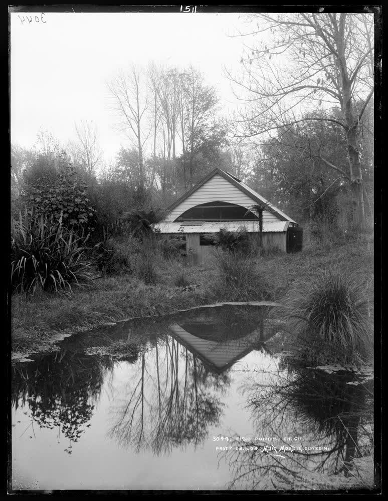 Fish Ponds, Christchurch, 1904
