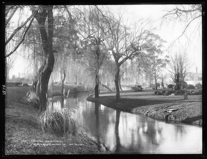 The Avon, Christchurch, 1903
