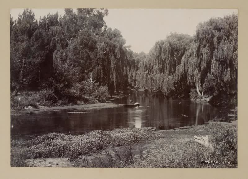 The Avon Christchurch, 1880