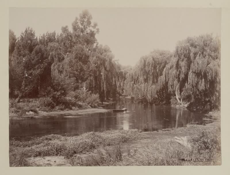 The Avon, Christchurch, 1880