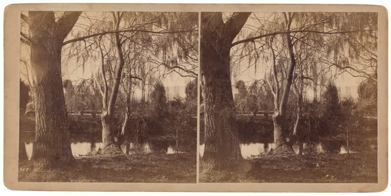 On the Avon, Christchurch, 1880