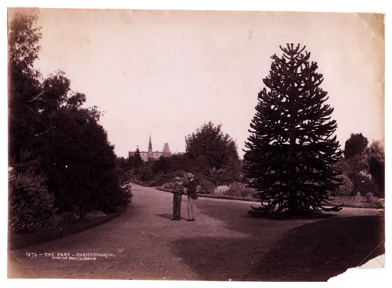 The Park, Christchurch, 1880