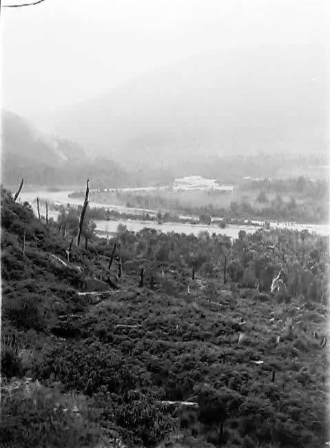 Christchurch and Environs, 1964