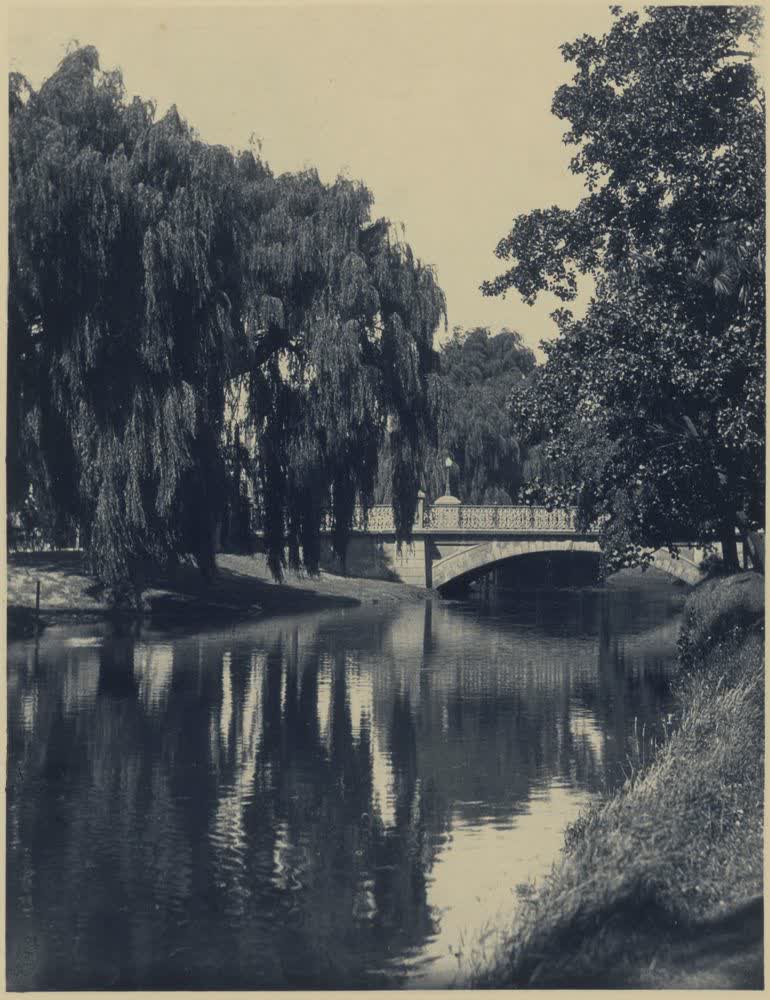 The river Avon, Christchurch, N.Z. From the album: Camera Pictures of New Zealand, 1920
