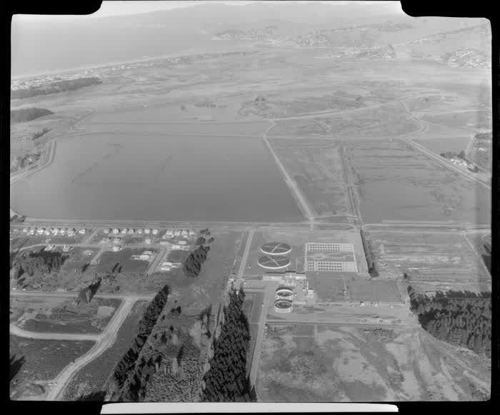 Bromley sewage farm, Christchurch, 1962